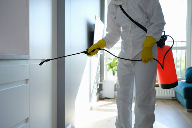 Best Post-Flood Mold Remediation in Sewanee, TN
